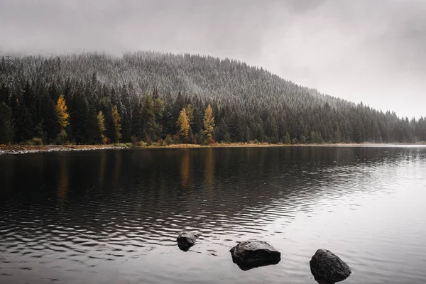 Озеро Трилиум Облачный Зимний День — стоковое фото