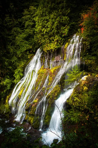 Pather Creek Cae Estado Washington — Foto de Stock