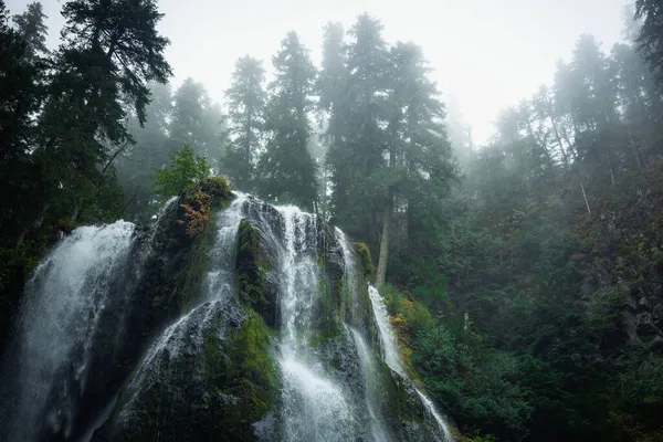 Alberi Nella Nebbia Presso Bop Cascate Torrente Cade — Foto Stock