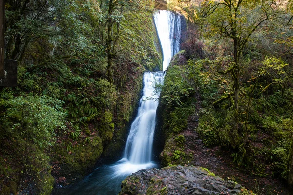 Zasłony Ślubne Opadają Wzdłuż Rzeki Kolumbia Oregonie — Zdjęcie stockowe