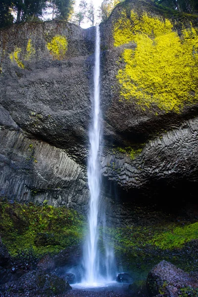 Нижний Латурель Падает Вдоль Ущелья Реки Колумбия Орегоне — стоковое фото