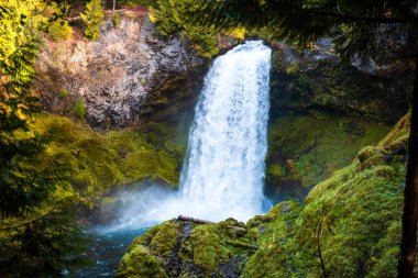Sahalie 'yi çevreleyen yosun ve orman Oergon' a düşer.