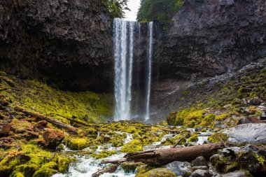 Tamanawas Oregon 'da Mount Hood' a düştü.