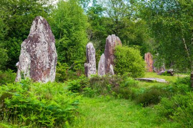 Menhirs lost in the forest near Monteneuf in Brittany, France