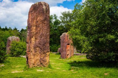 Menhirs in the meadow of the forest near Monteneuf, Brittany, Fr