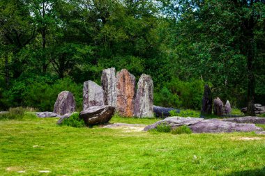 Menhirs alignment in the forest of Monteneuf, Brittany, France