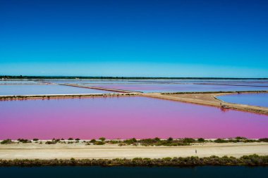 Camargue Fransa 'sında pembe tuz sahası