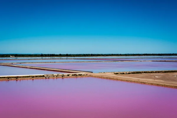 Pink salt marsh near Aigue Morte in Camargue