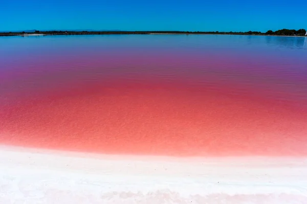 Salt Beach Pink Lake — Stock Photo, Image