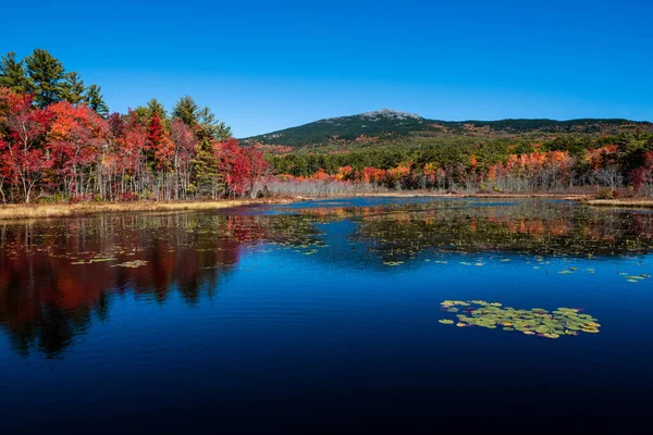 Montieren Sie Monadnock Über Einem Schwarzen Teich Mit Herbstfarben — Stockfoto