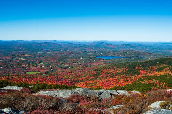 Floresta New Hampshire Por Dia Ensolarado Outono — Fotografia de Stock