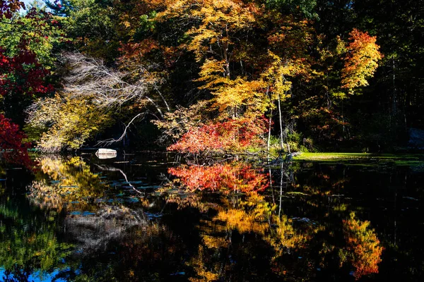 黒い池に映る木々の紅葉 — ストック写真