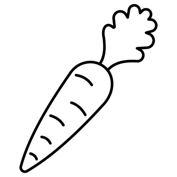 Carrot Which Can Easily Modify Edit — Stock Photo, Image