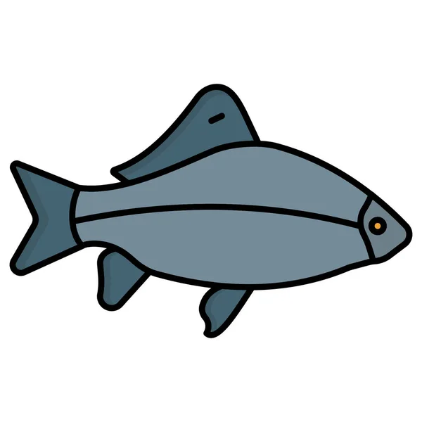 Fish Which Can Easily Modify Edit — Stock Photo, Image