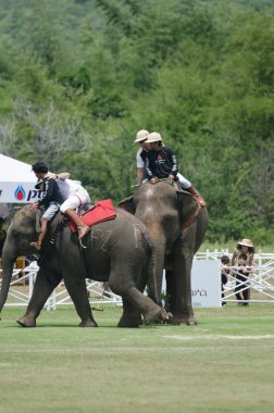 Hua hin, Tayland-13 Eylül 201: tanımlanamayan polo oyuncular