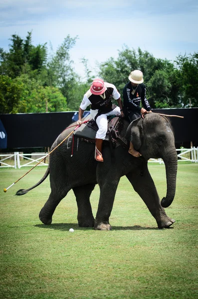 HUA HIN, THAILAND - SEPTEMBRIE 13, 201: Jucători de polo neidentificați — Fotografie, imagine de stoc