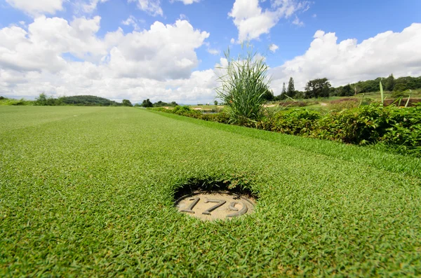 Manzara gökyüzü ile güzel bir yeşil golf sahası — Stok fotoğraf