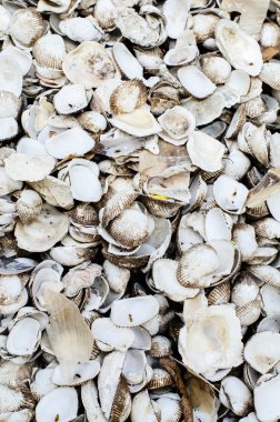 eski ve pis arka plan