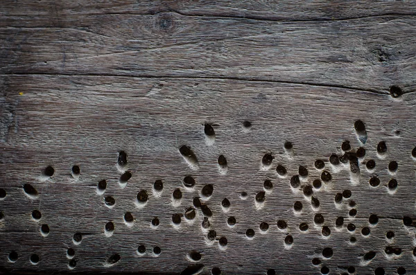 Grunge drewniane tło tekstury — Zdjęcie stockowe
