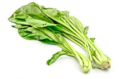 Çince lahana beyaz zemin üzerine