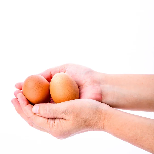 Mano donna con uova isolate su sfondo bianco — Foto Stock