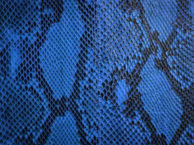 yılan derisi deseni ile