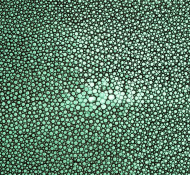 ışın deri dokusu ile