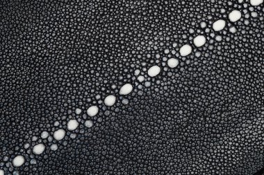 siyah ışın deri dokusu ile