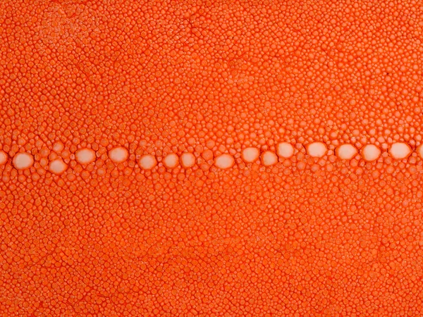 Orange ray skin with texture — Stock Photo, Image