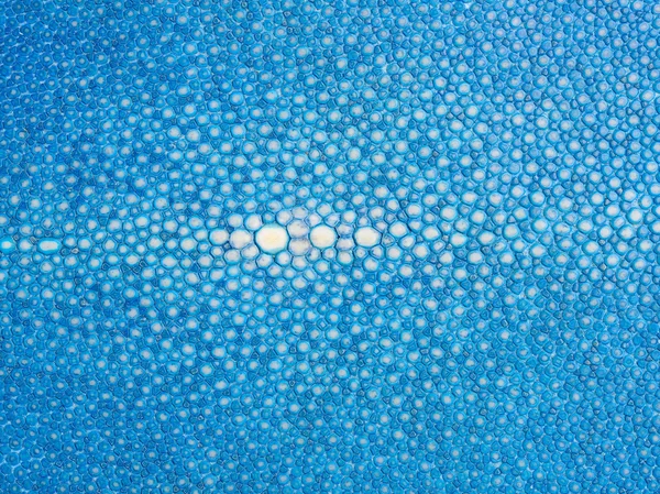 Pele de raios azuis com textura — Fotografia de Stock