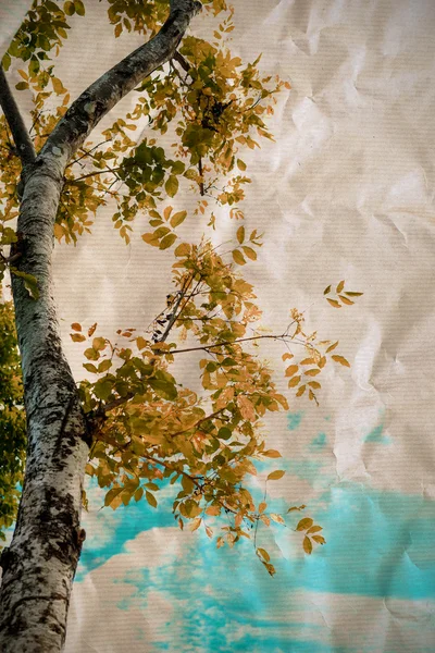 Vintage autumn tree background — Stock Photo, Image