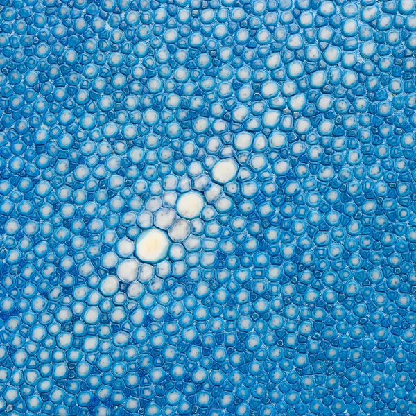 Pele de raios azuis com textura — Fotografia de Stock