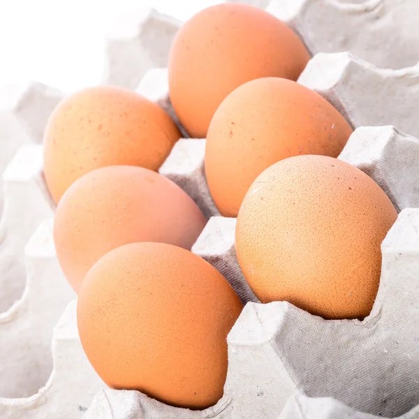 Csirke barna tojás Vértes háttérre — Stock Fotó