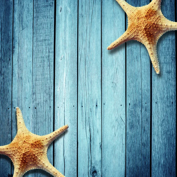 Blauwe muur decoratie met schaal-en schelpdieren, strand stijl decoratie — Stockfoto