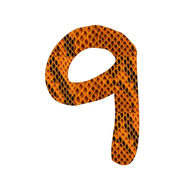Snake pelle alfabeto isolato su bianco — Foto Stock