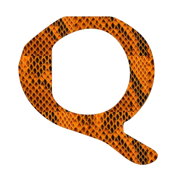 Kígyó bőr ábécé elkülöníteni, fehér — Stock Fotó