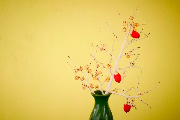 Red betel nuts hanging on a palm branch in vase — Stock Photo, Image