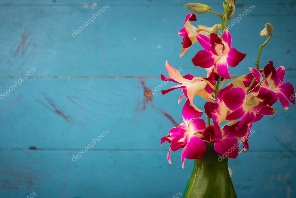Purple orchid flowers in green vase with wooden wall Stock Photo by