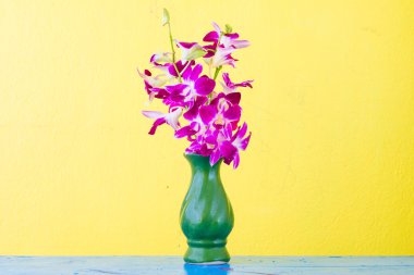 eski vazo orkide ve yeşil grunge sarı duvar ile mor