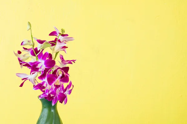 Lila orkidé och grön gammal vas med grunge gula väggen — Stockfoto