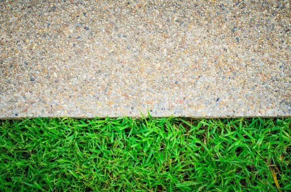 Fresh green grass on sand stone background — Stock Photo, Image