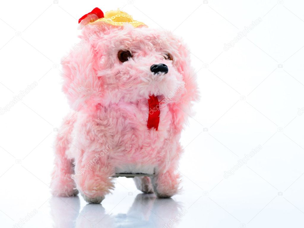 cute dog doll