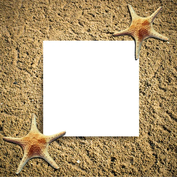 Leeres Papier Sandstrand mit Seesternen wie Sommerurlaub Backgr — Stockfoto