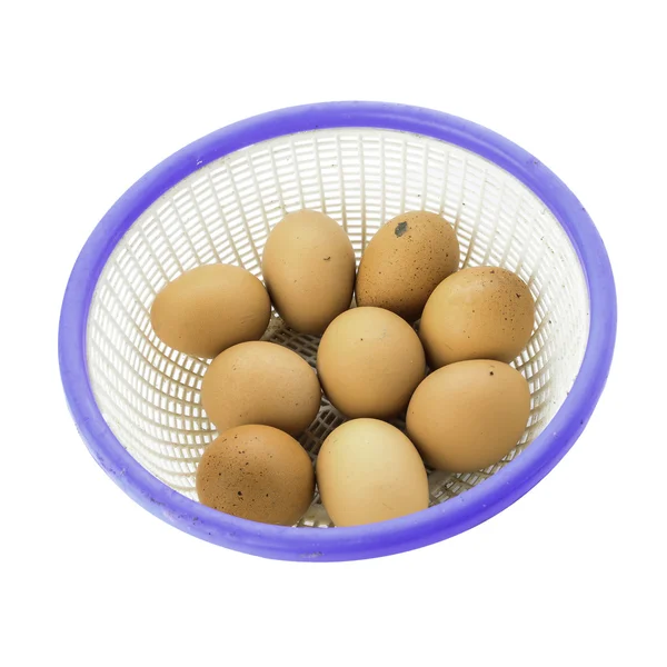 Canasta de huevos sucios aislada sobre fondo blanco — Foto de Stock