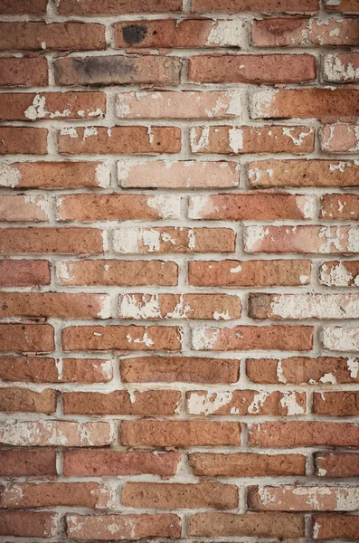 Background of brick wall texture — Stock Photo, Image