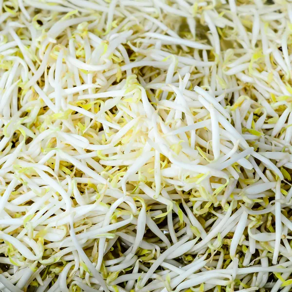 Close-up to Bean sprouts background — Stock Photo, Image