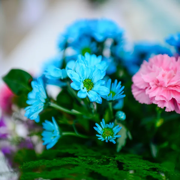 Blue flowers bouquet — Stock Photo, Image