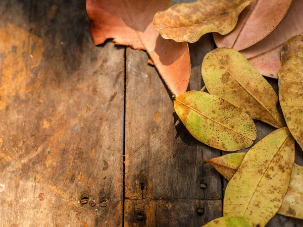 Podzimní listí přes dřevěné pozadí.S kopírovacím prostorem — Stock fotografie