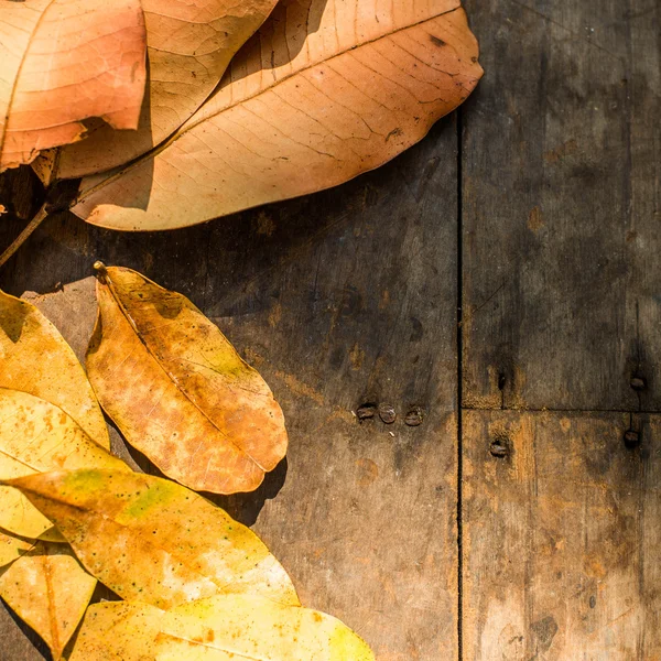 Autumn Leaves over wooden background.With copy space — Stock Photo, Image