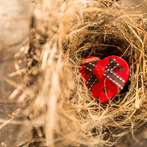 Caixa de coração vermelho no ninho de pássaros, conceito de dia dos namorados . — Fotografia de Stock